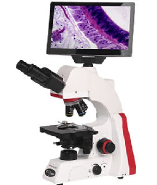 microscope paro